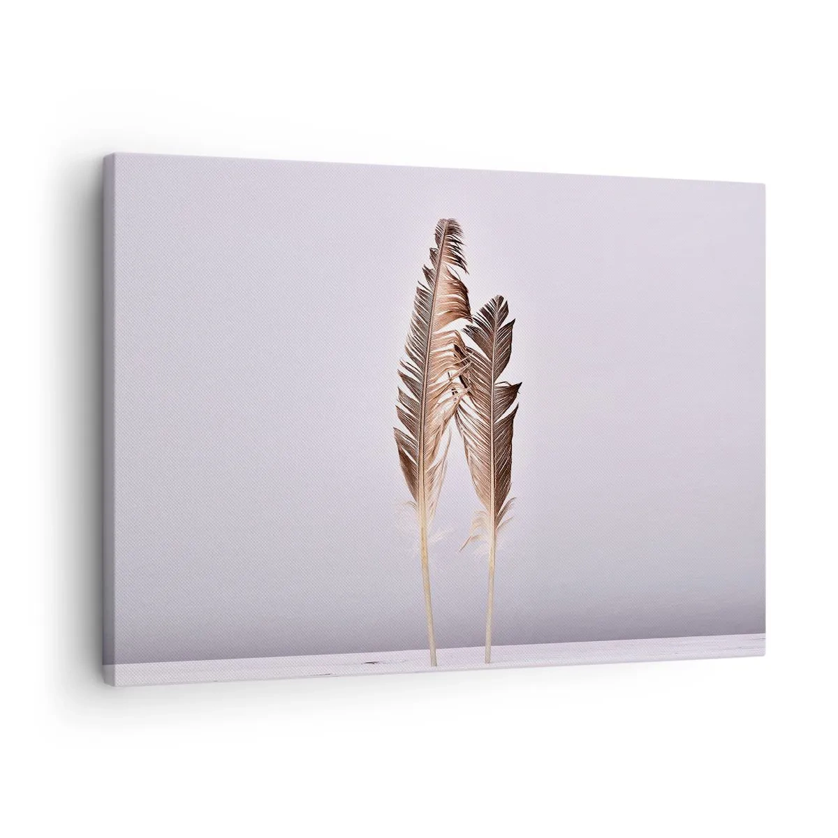 Lærredstryk - Billede på lærred - Fine fjer på en lys baggrund i minimalistisk stil - 70x50cm - Mod intetheden - Moderne vægdekoration til stue og soveværelse ARTTOR