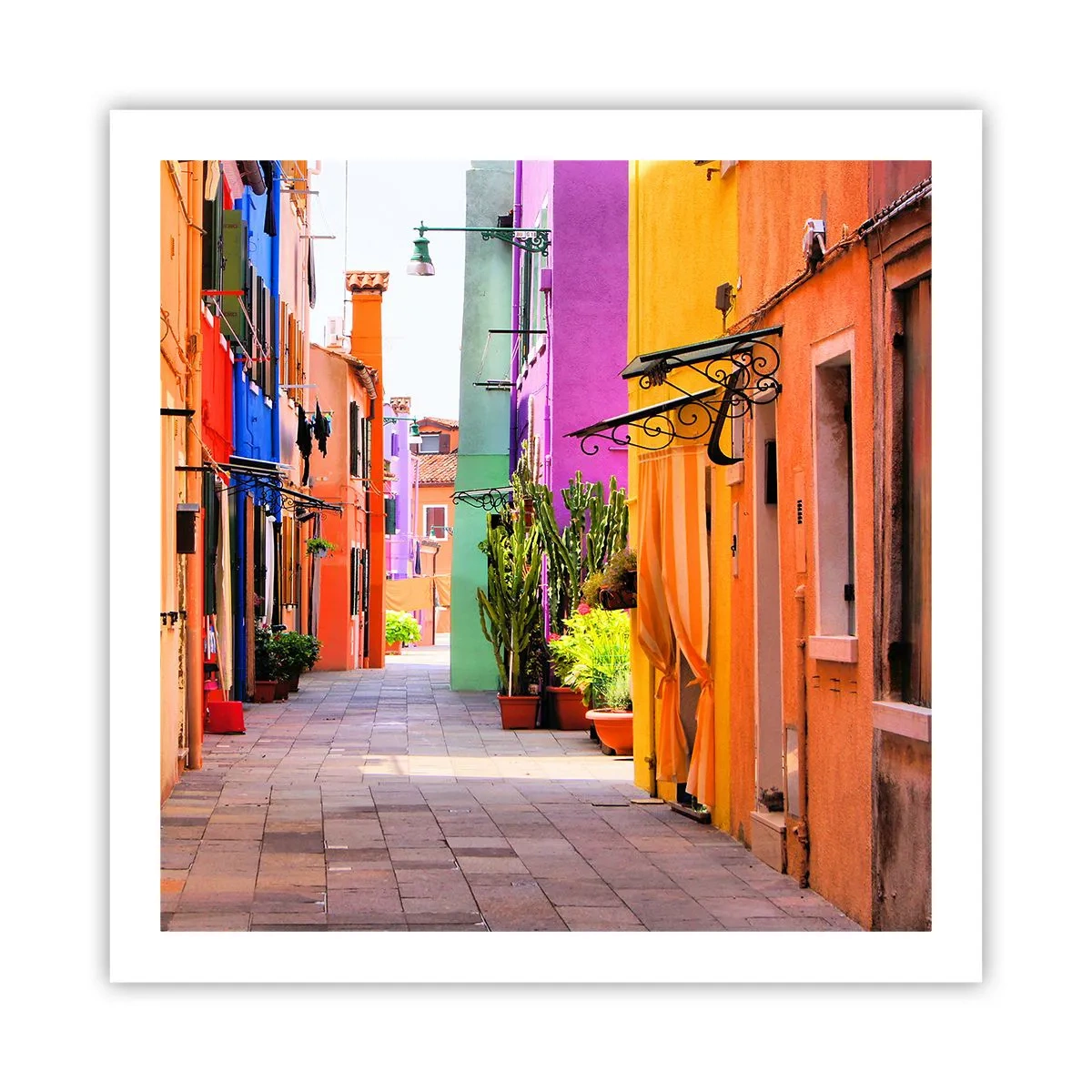 Plakat - Regnbue gyde - 60x60 cm