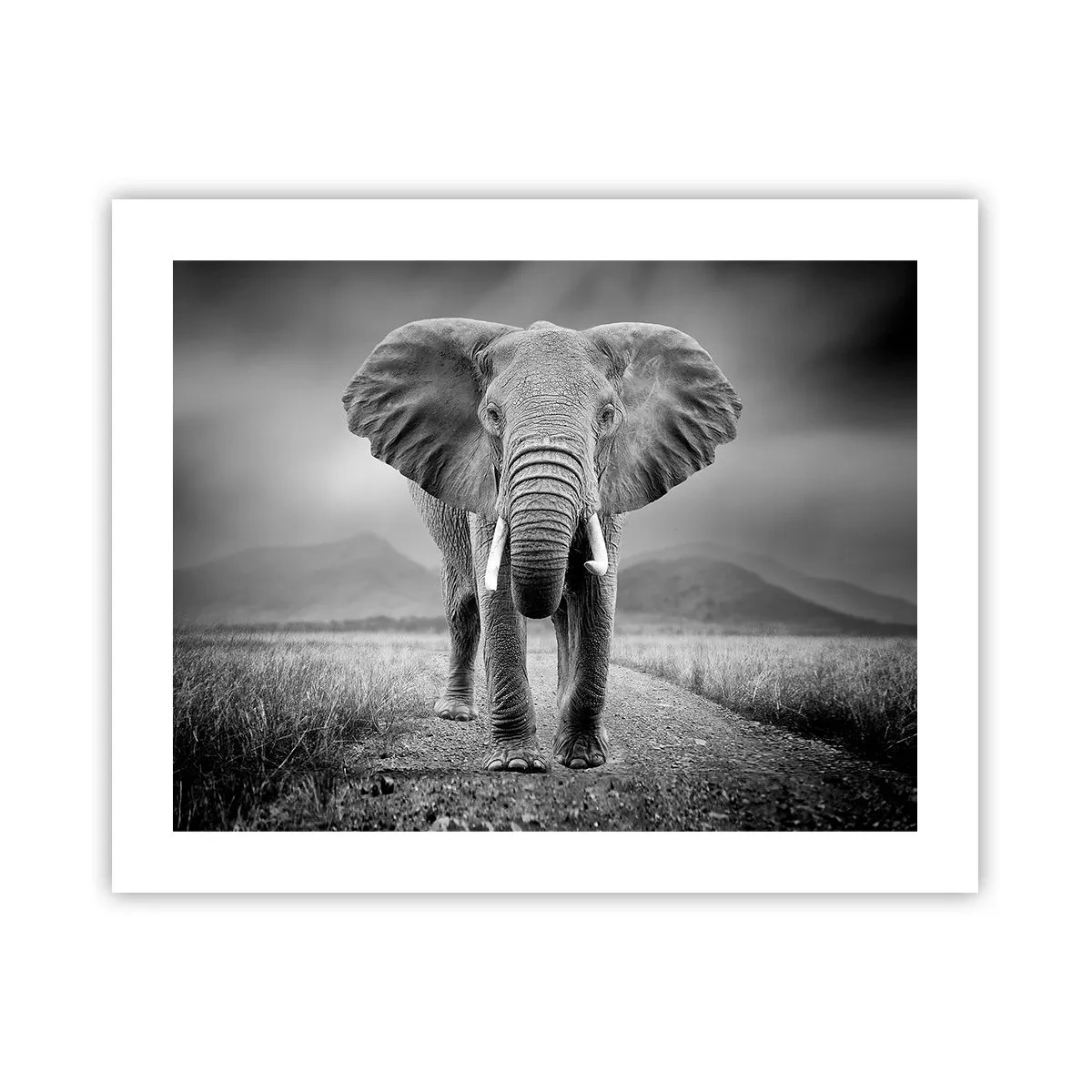 Plakat - Værten byder velkommen til - 50x40 cm