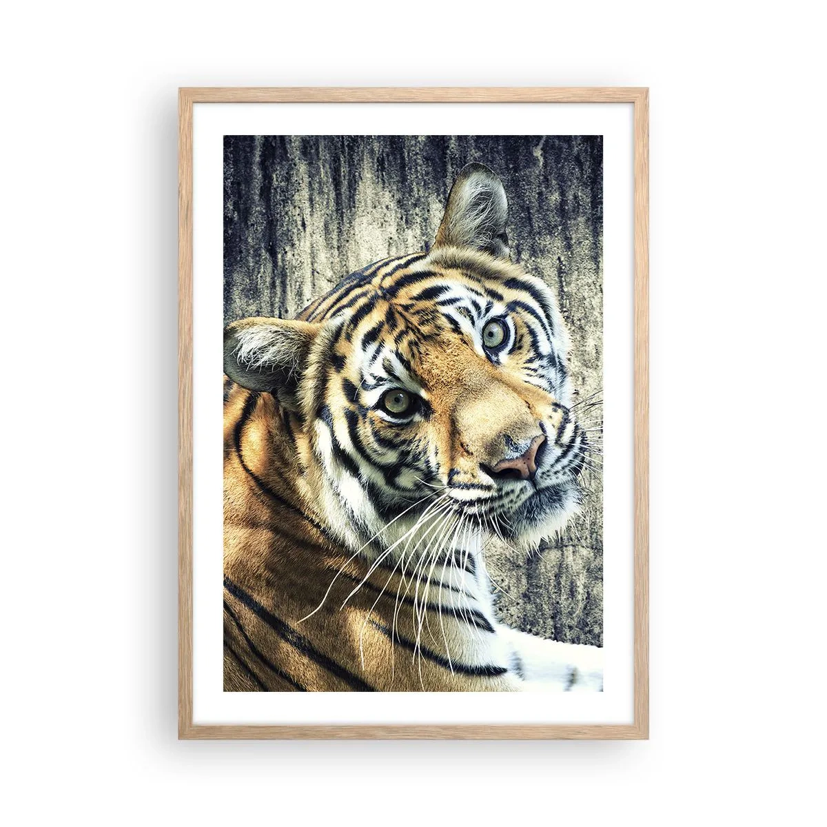 Plakat i ramme af lyst egetræ - Portræt i lysstrømme - 50x70 cm