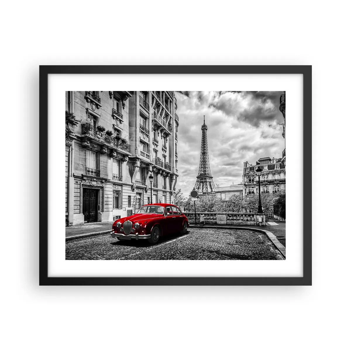Plakat i sort ramme - Rovdyr i byen - 50x40 cm