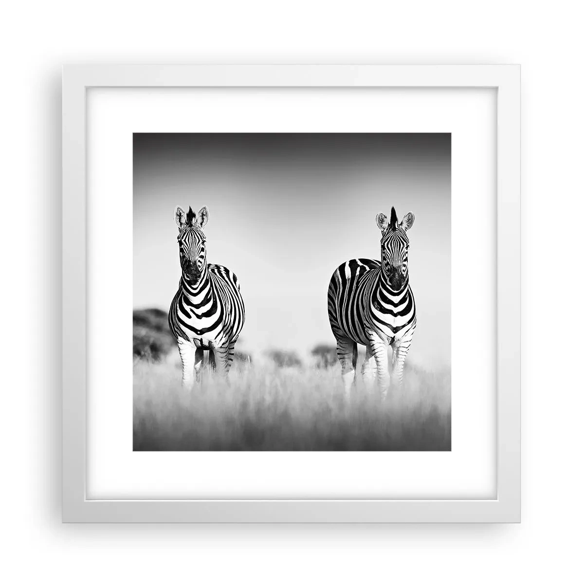 Plakat i hvid ramme - Og alligevel er verden sort og hvid - 30x30 cm