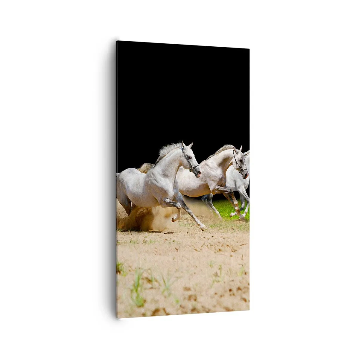 Lærredstryk - Billede på lærred - Tre Nåder - 65x120 cm