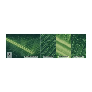 Fototapet Prøve Standard Eco - Grøn struktur - Grønt blad, Tropisk plante, Stykke - 100x30 cm