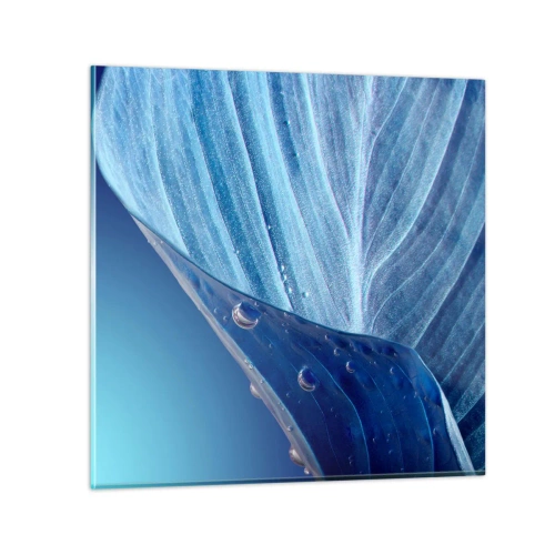 Billede på glas - Skjulte dråber af blåt - 50x50 cm
