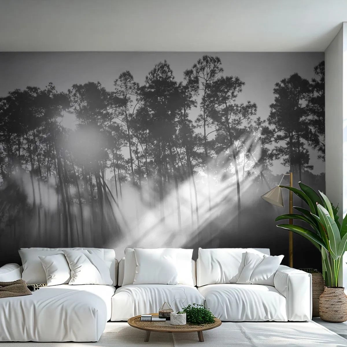 Fototapet Selvklæbende Deluxe Sticker - Ustoppelig sol - Landskab, Skov, Natur - 500x350 cm