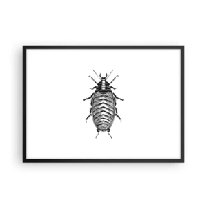 Plakat i sort ramme - Sikke et eksemplar! - 70x50 cm