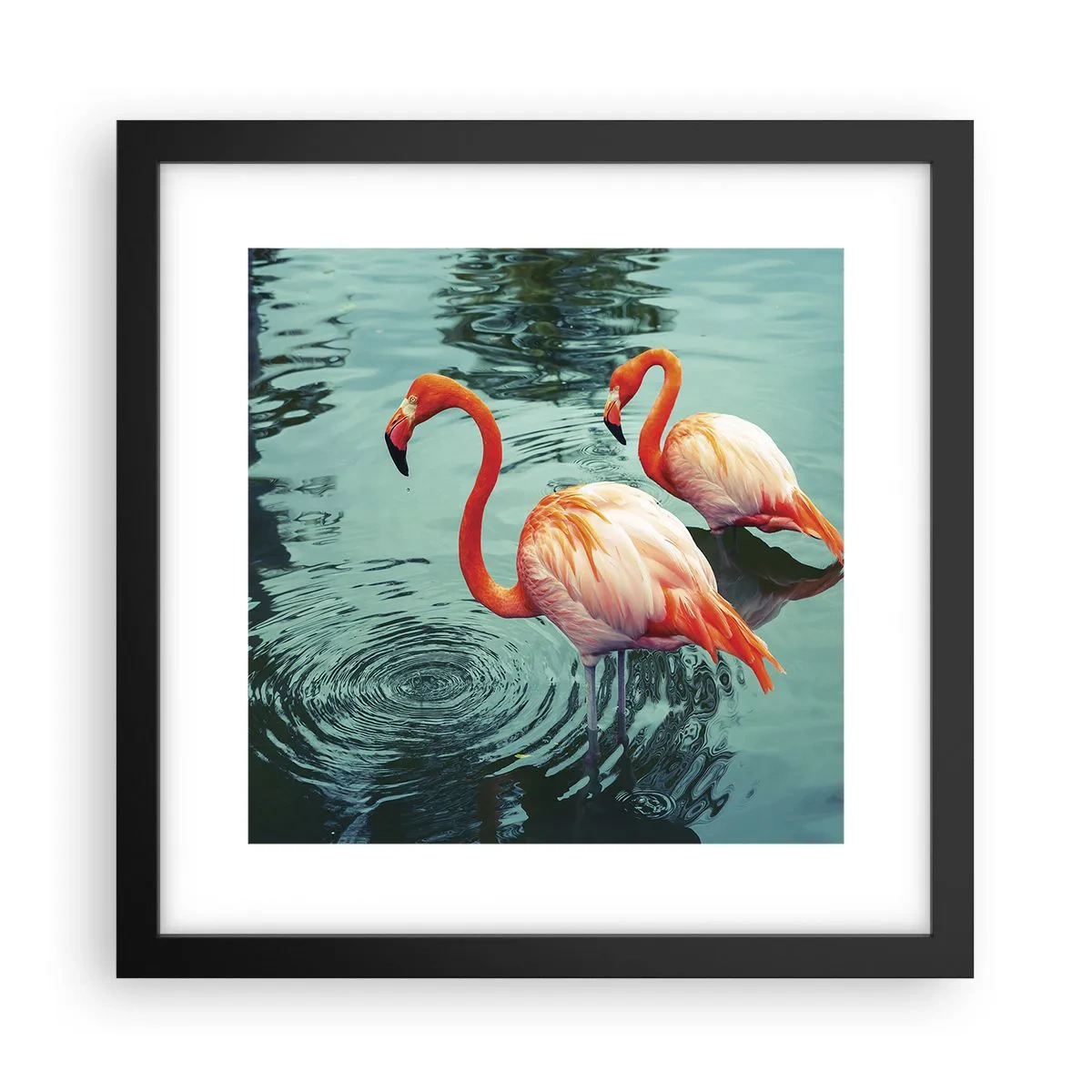 Plakat i sort ramme - Vi er nu på mode - 30x30 cm