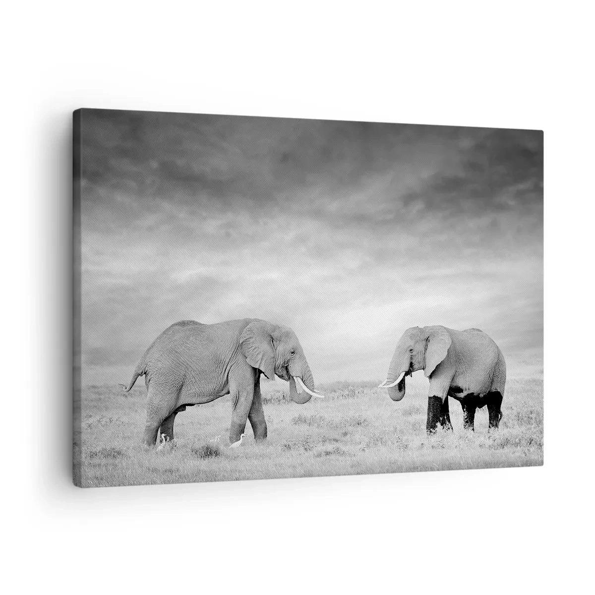 Lærredstryk - Billede på lærred - To elefanter mod den afrikanske savanne som baggrund - 70x50cm - Gråt er smukt - Moderne vægdekoration til stue og soveværelse ARTTOR