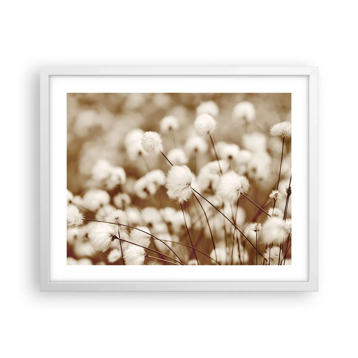 Plakat i hvid ramme - Fyldig mark - 50x40 cm