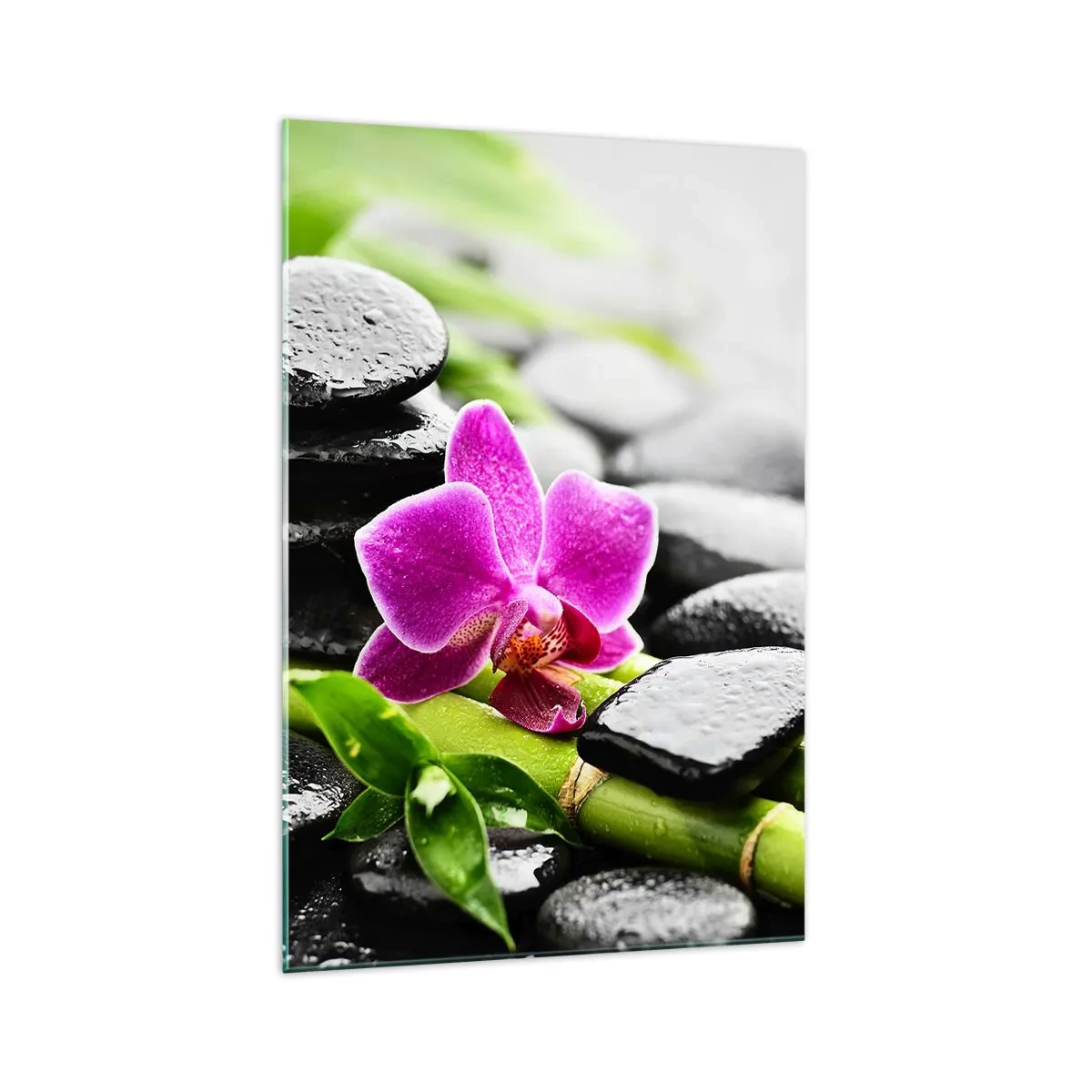 Billede på glas - I en fredelig balance - 70x100 cm