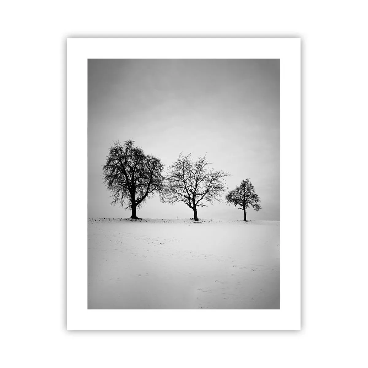 Plakat - Hvad drømmer de om? - 40x50 cm