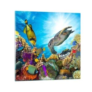 Billede på glas - Koralpromenade - 70x70 cm