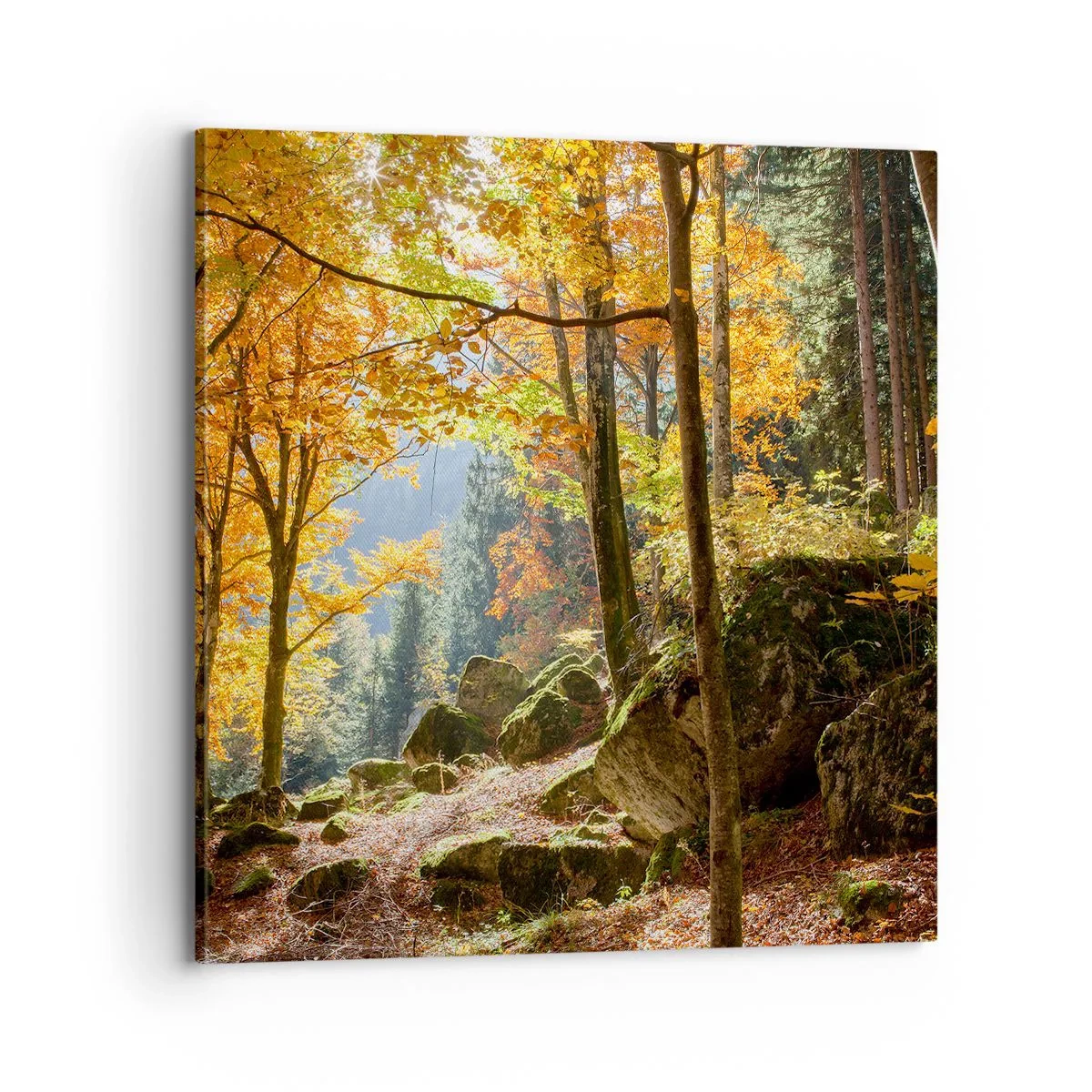 Lærredstryk - Billede på lærred - Tid til at slappe af - 70x70 cm