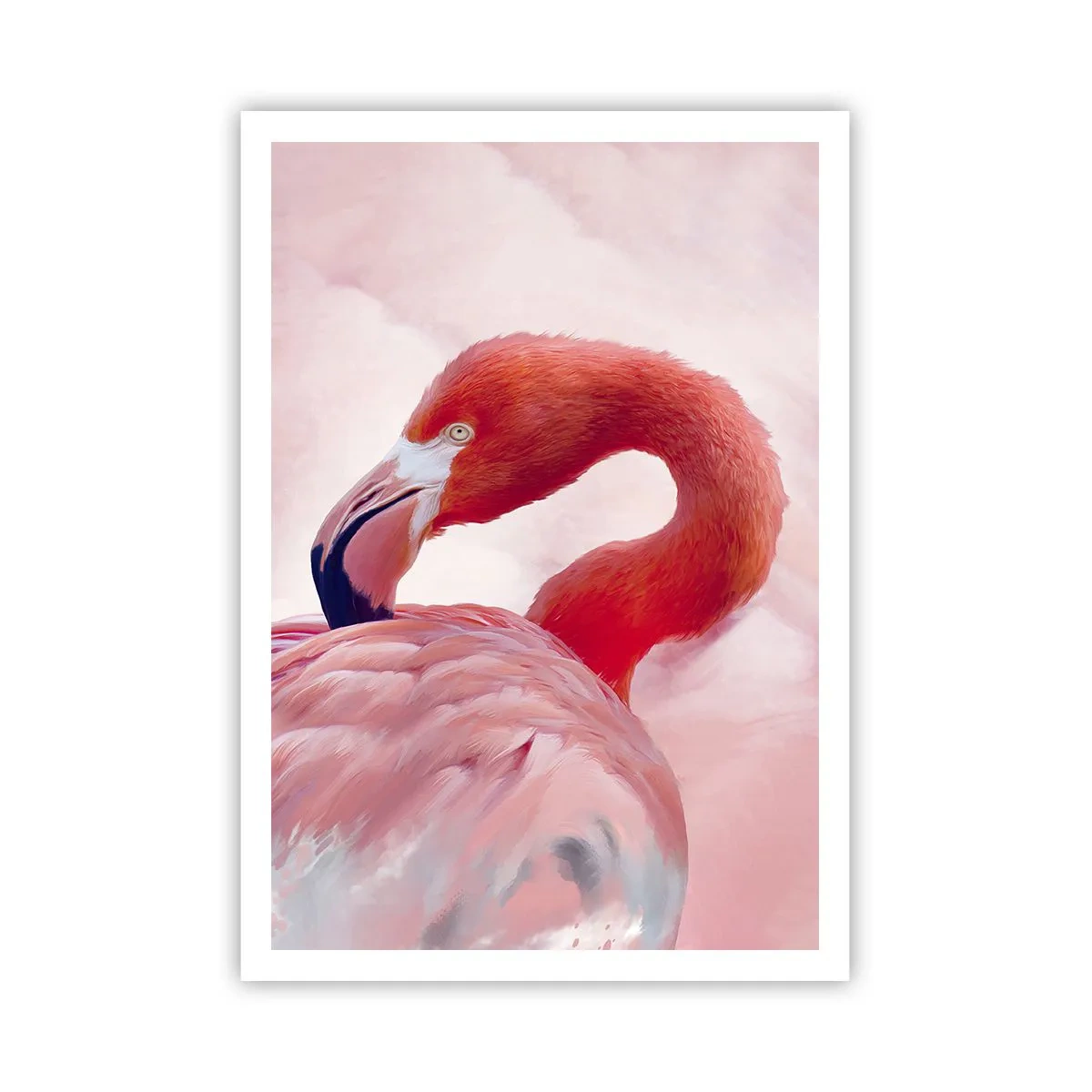 Plakat - Fugleskønhed - 70x100 cm