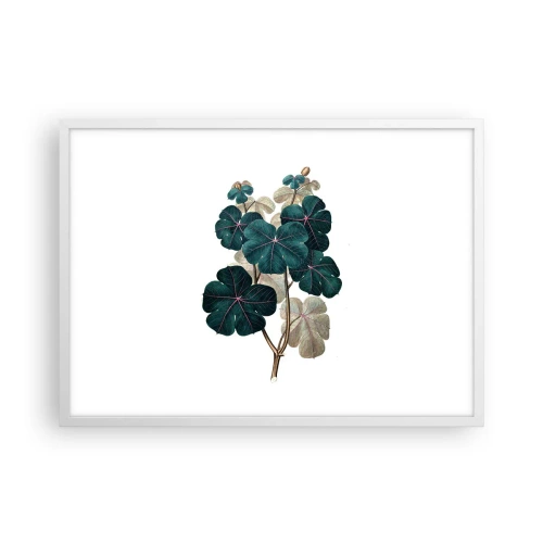 Plakat i hvid ramme - Fra et gammelt herbarium - 70x50 cm