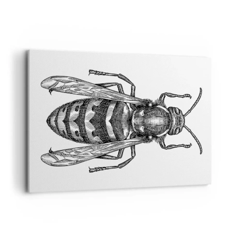 Lærredstryk - Billede på lærred - Fra en insektplanet - 100x70 cm