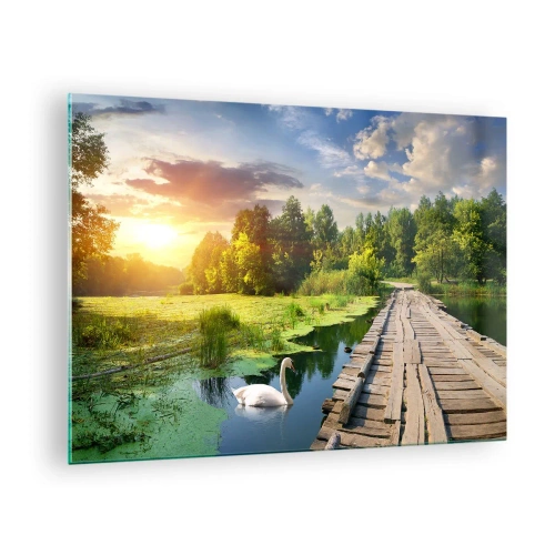 Billede på glas - Træbro over en sø med en svane ved solnedgang - 70x50cm - Sommer, sommer overalt - Moderne vægdekoration til stue og soveværelse ARTTOR