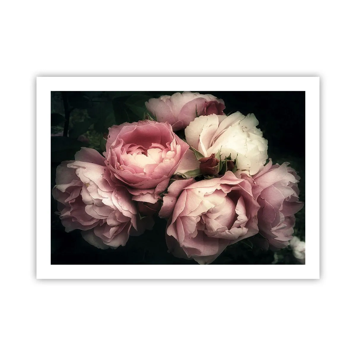 Plakat - Belle epoque charme - 70x50 cm