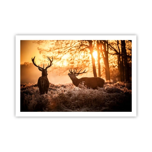 Plakat - En jægerdrøm - 91x61 cm