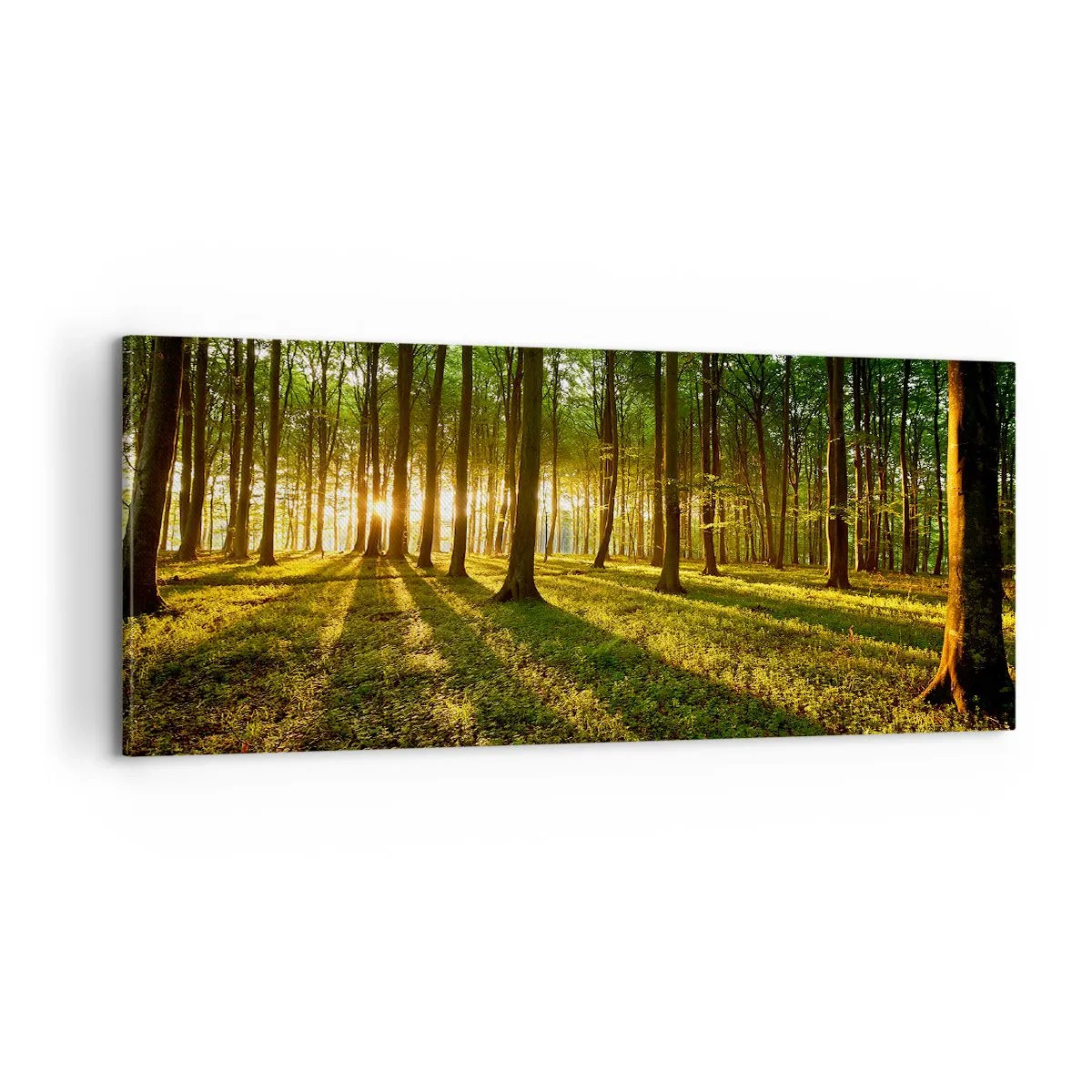 Lærredstryk - Billede på lærred - Fotografering af alle fjedre - 100x40 cm
