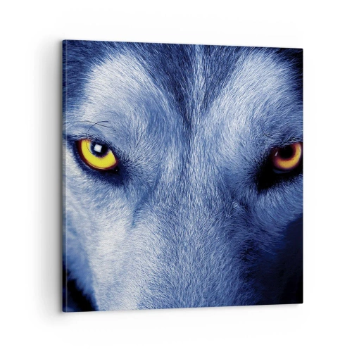 Lærredstryk - Billede på lærred - Et hypnotiserende udseende - 60x60 cm