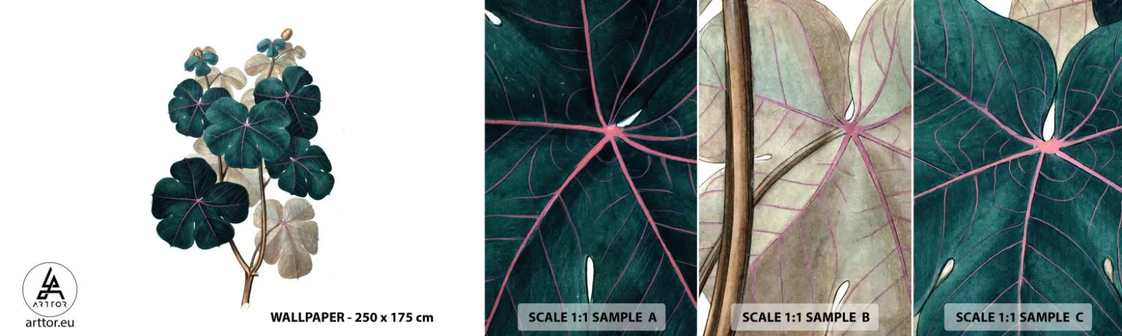 Prøve Fototapet Selvklæbende Deluxe Sticker - Fra et gammelt herbarium - Plante, Blade, Botanik - 100x30 cm