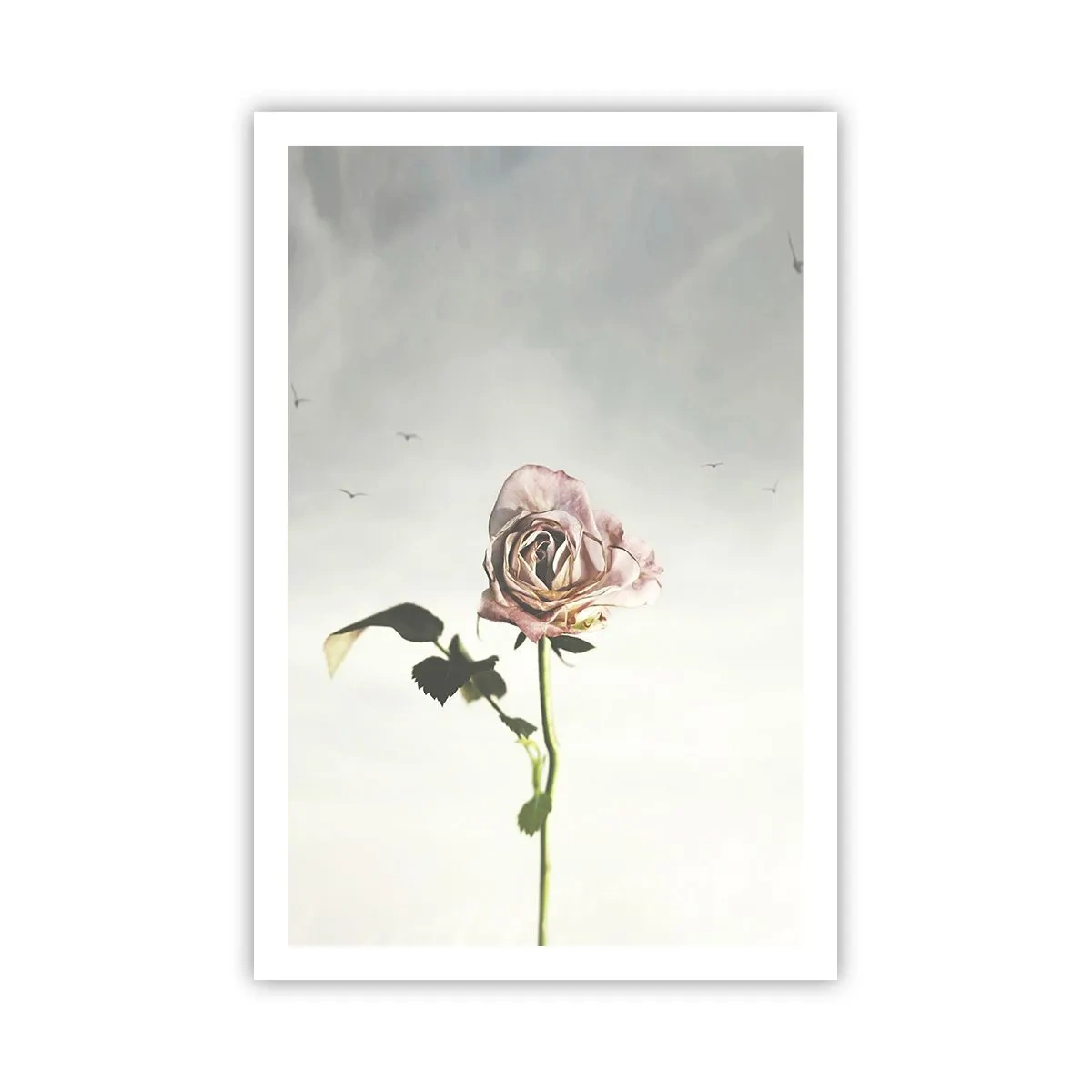 Plakat - Velkomst til foråret - 61x91 cm