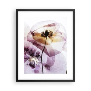 Plakat i sort ramme - Blomsterlegeme dias - 40x50 cm
