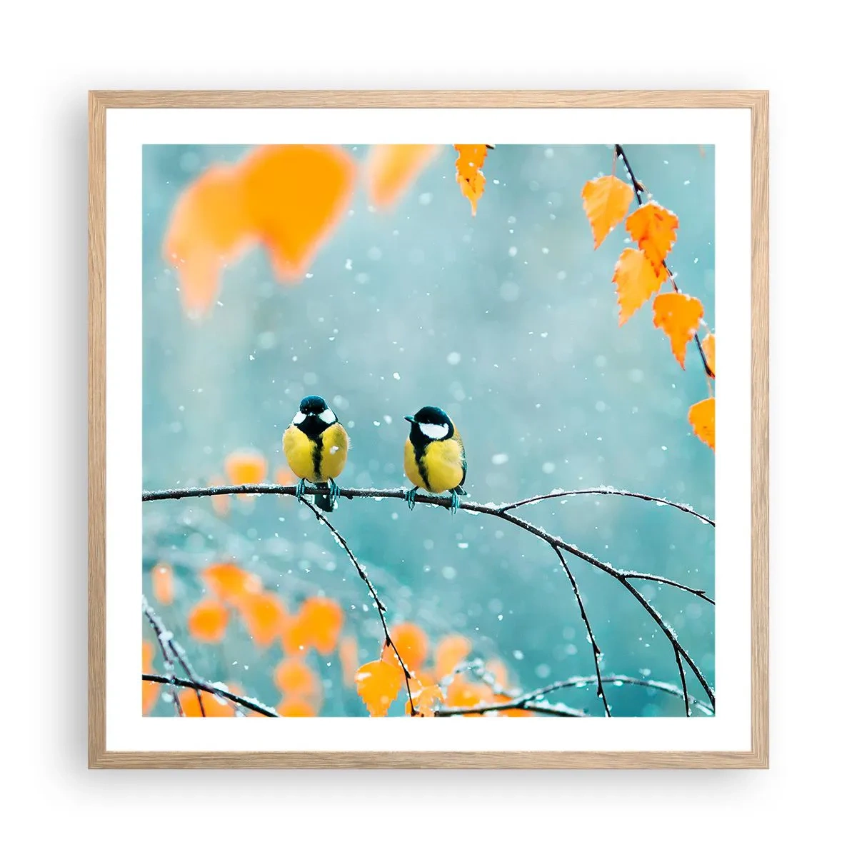 Plakat i ramme af lyst egetræ - Sladder om fugle - 60x60 cm