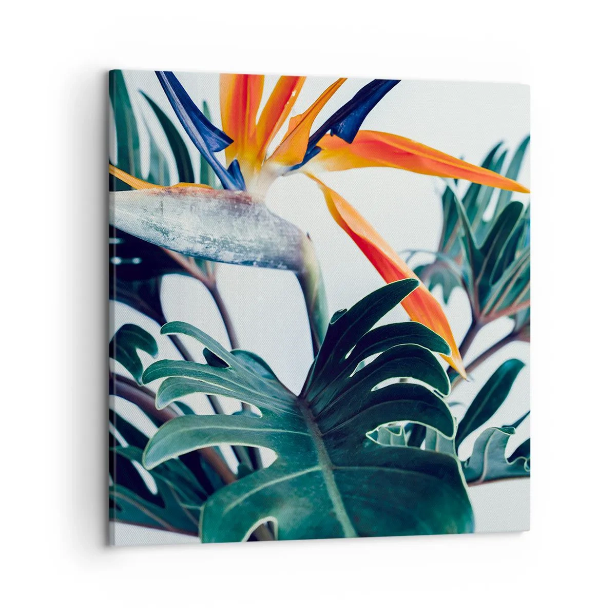 Lærredstryk - Billede på lærred - Fuglebur - 50x50 cm