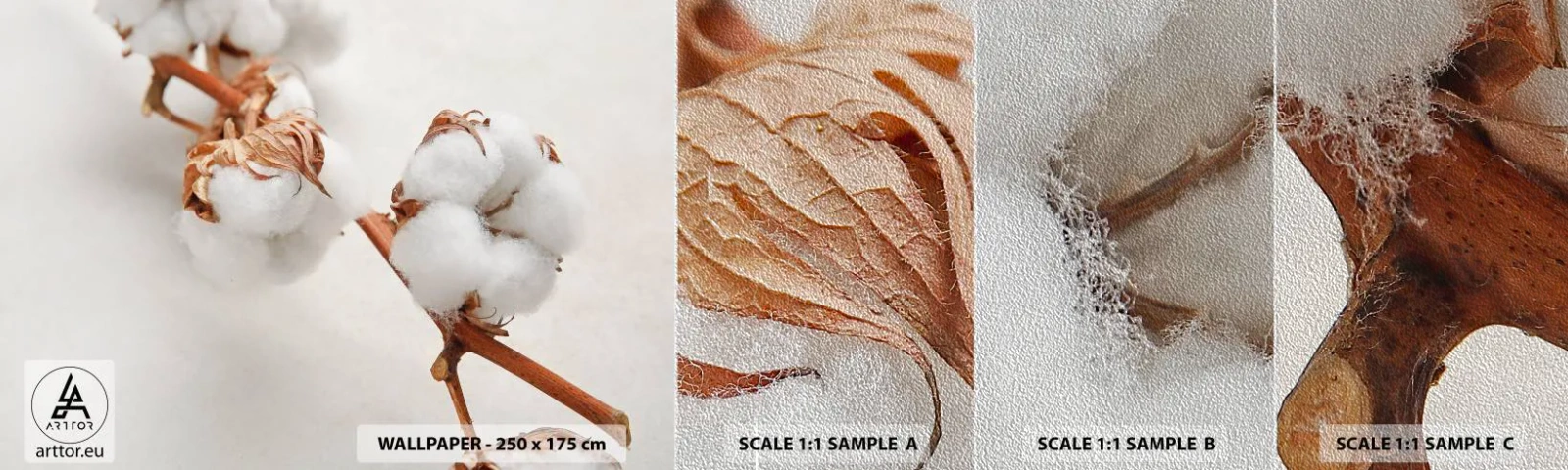 Prøve Fototapet Premium Sand - Bare kramme - Bomuldsblomst, Blomst, Bomuldskvist - 100x30 cm