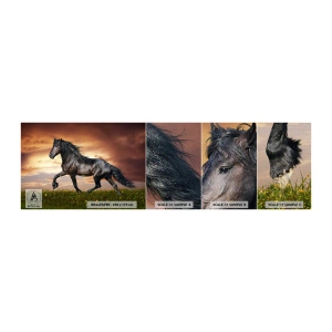 Prøve Fototapet Premium Canvas - Sort prins - Dyr, arabisk hest, Landskab - 100x30 cm