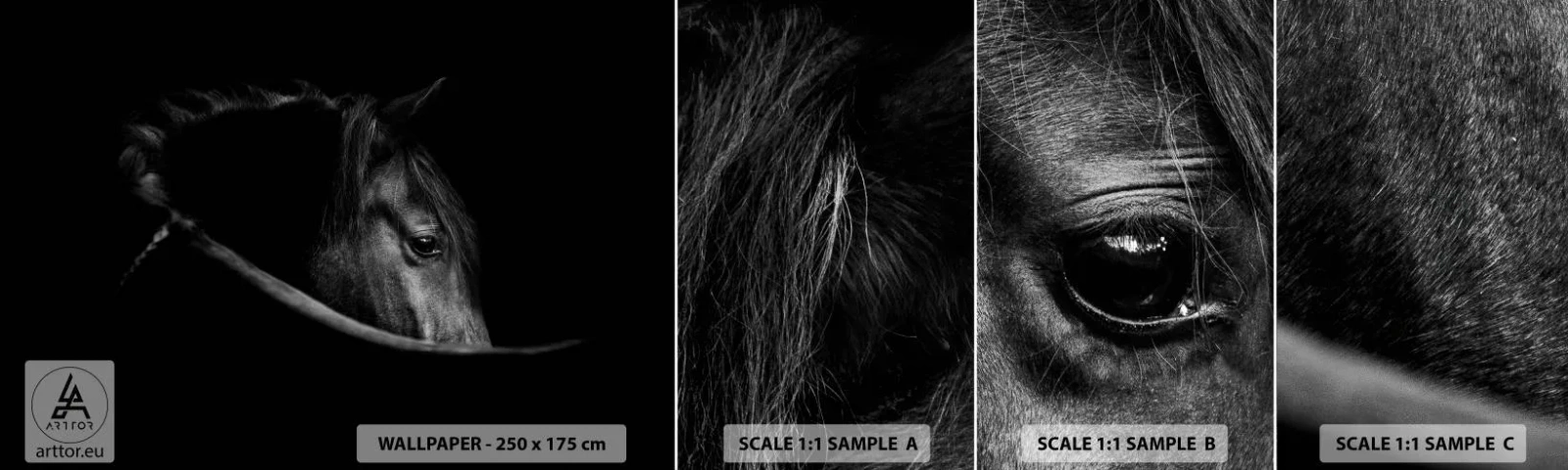 Fototapet Prøve Standard Eco - Sort prins - Hest, Dyr, Kunstnerisk - 100x30 cm