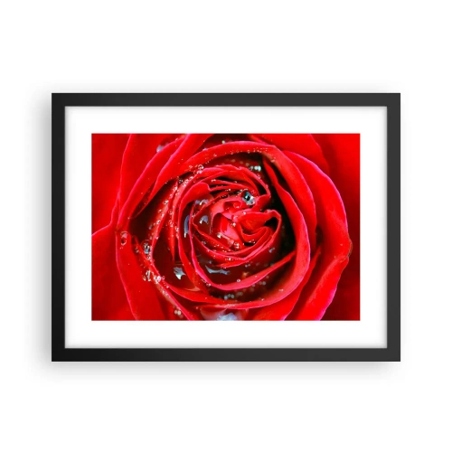 Plakat i sort ramme - I dråber af dug - 40x30 cm