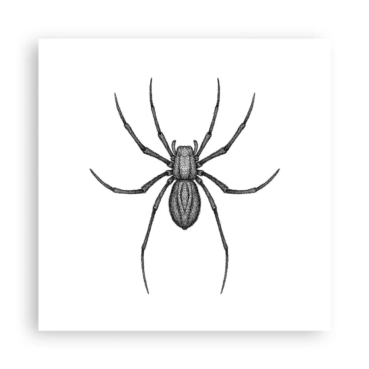 Plakat - Foruroligende præcision - 40x40 cm