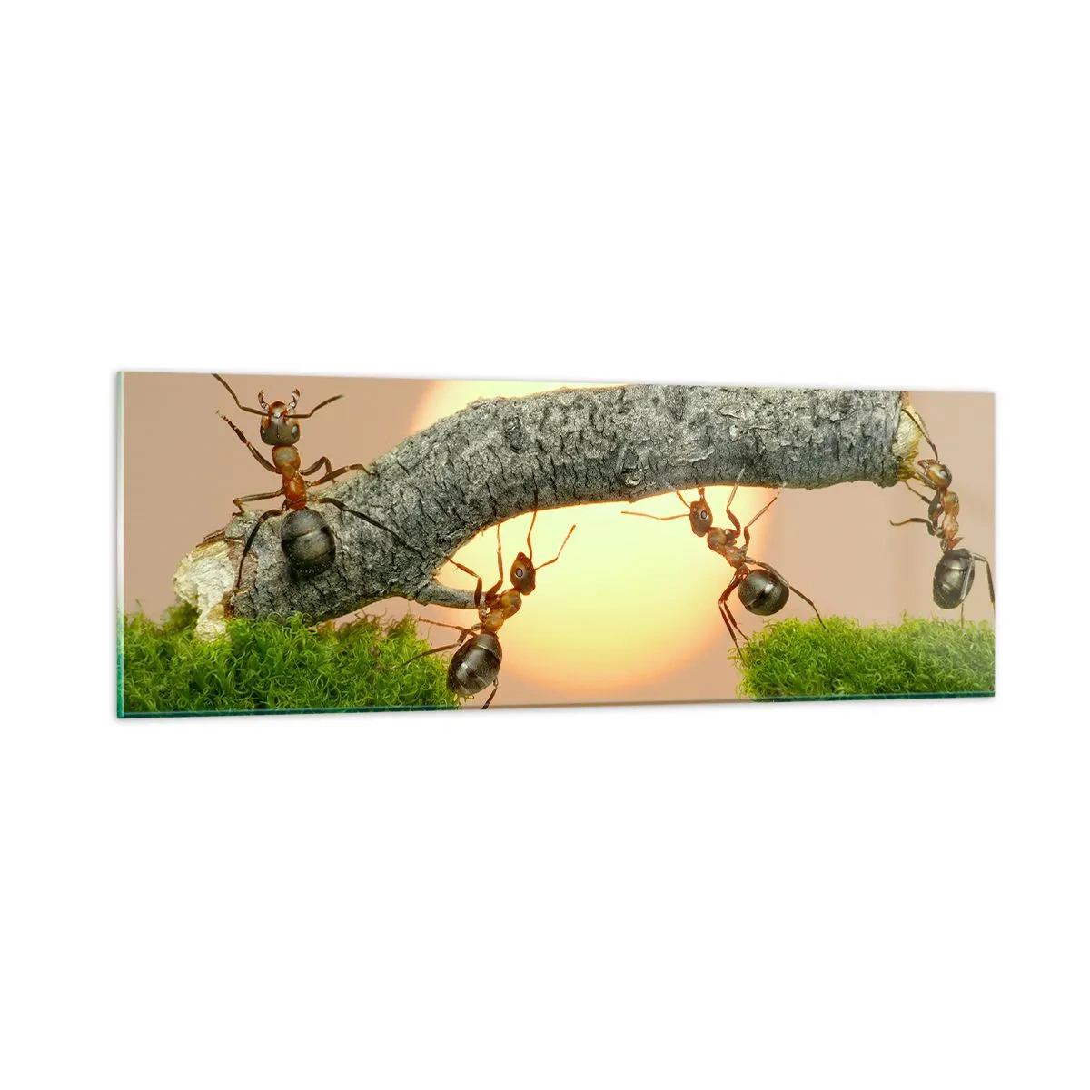 Billede på glas - Glædeligt, fælles arbejde - 90x30 cm