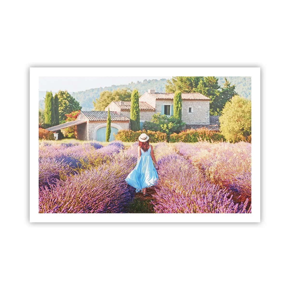 Plakat - Lavendel pige - 91x61 cm