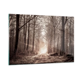 Billede på glas - Skovkatedralen - 120x80 cm