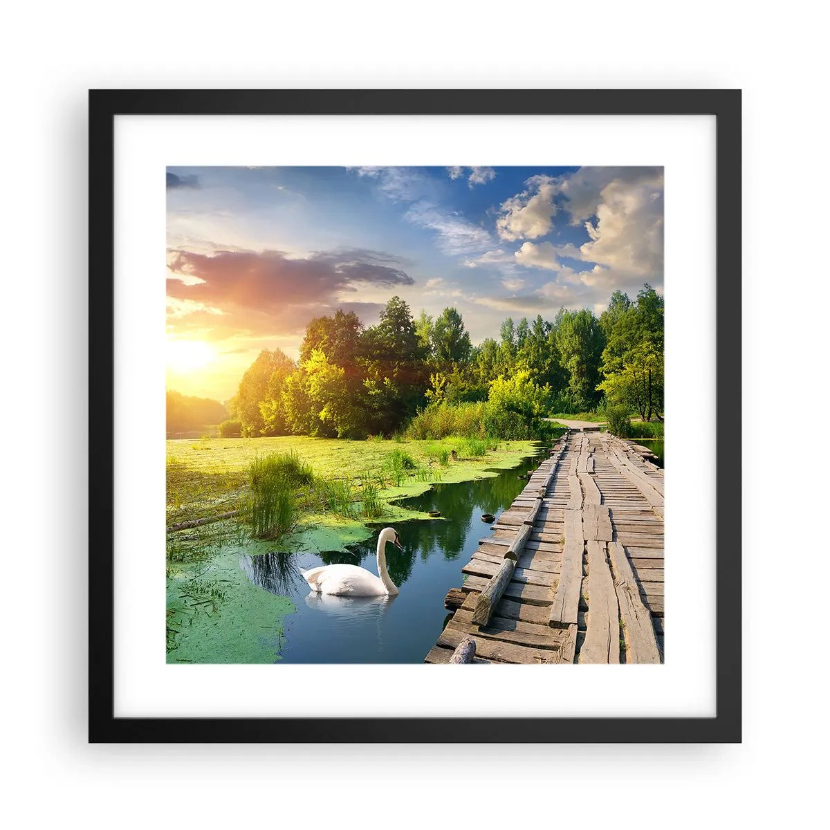 Plakat i sort ramme - Sommer, sommer overalt - 40x40 cm