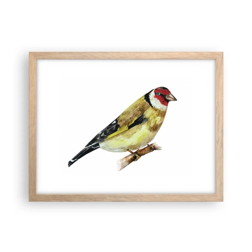 Plakat i ramme af lyst egetræ - Portræt af en fugl - 40x30 cm