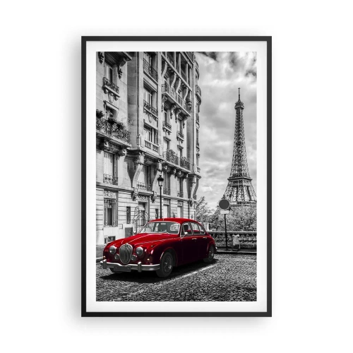 Plakat i sort ramme - Rovdyr i byen - 61x91 cm