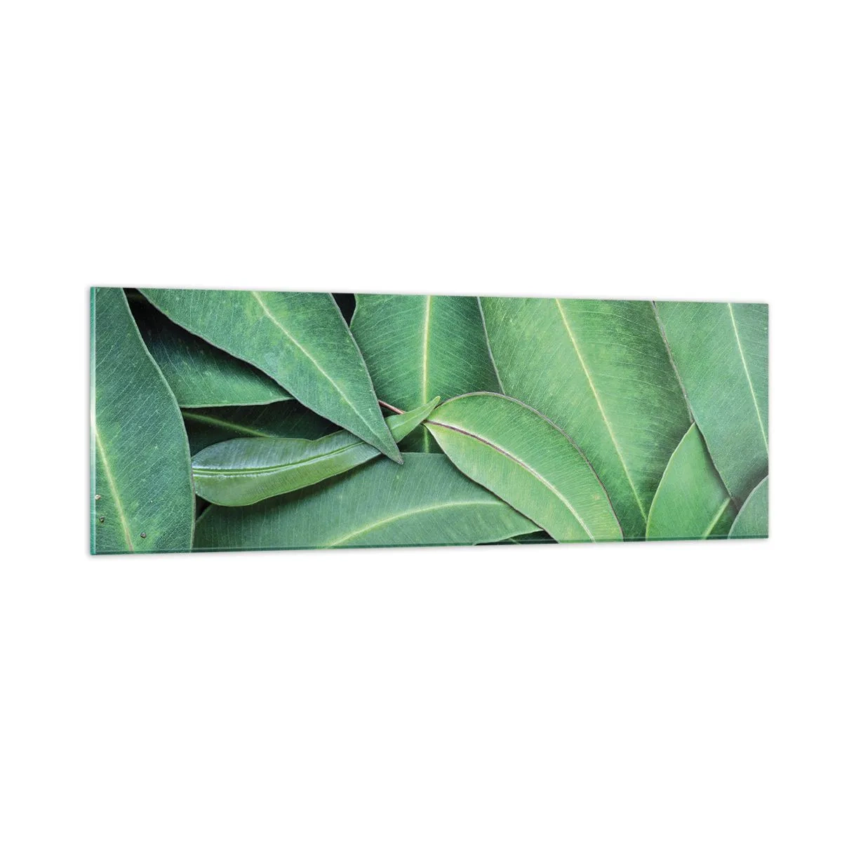 Billede på glas - Saftig og frisk - 90x30 cm