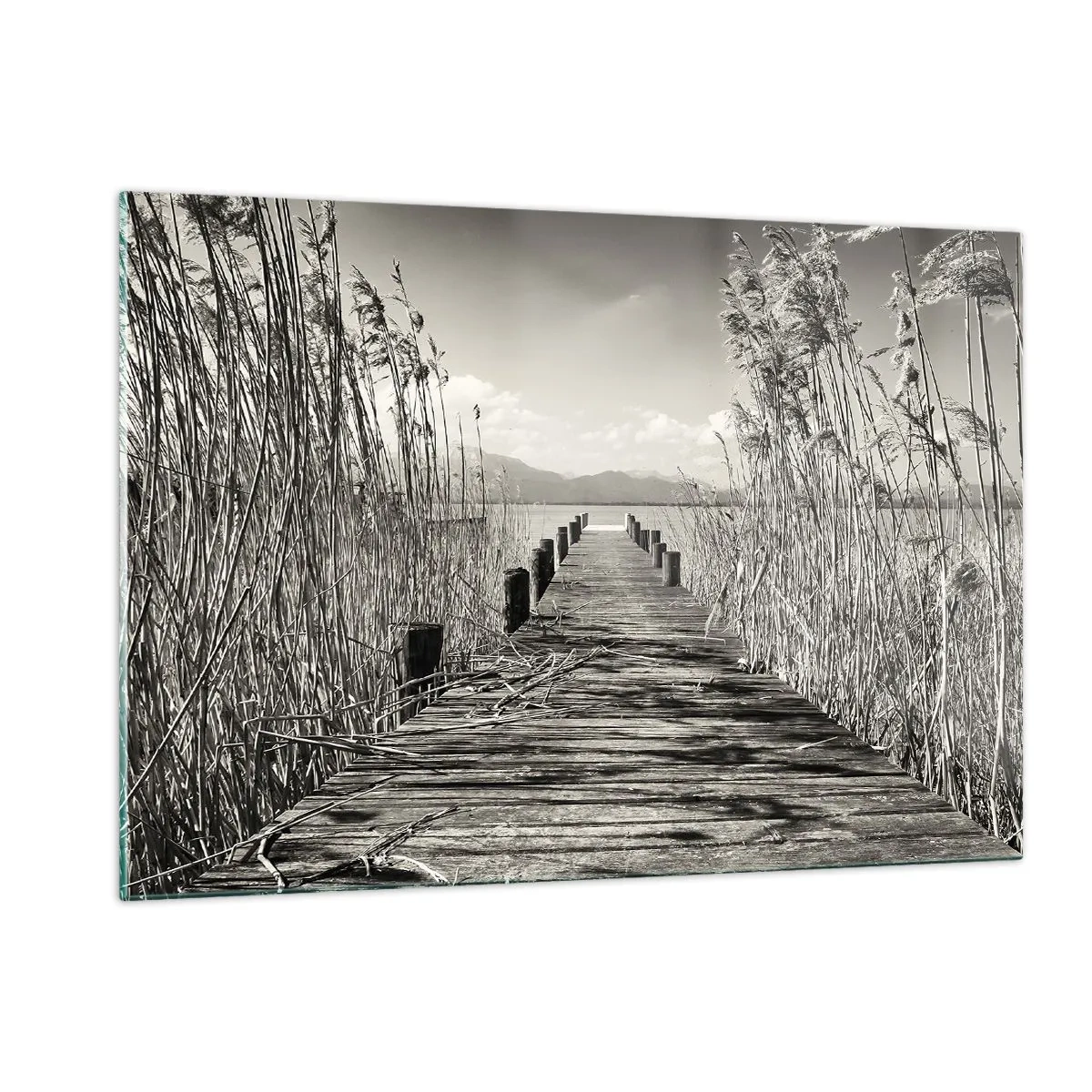 Billede på glas - I græssernes fred - 120x80 cm