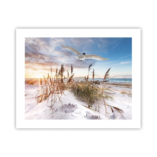 Plakat - Vind fra havet - 50x40 cm