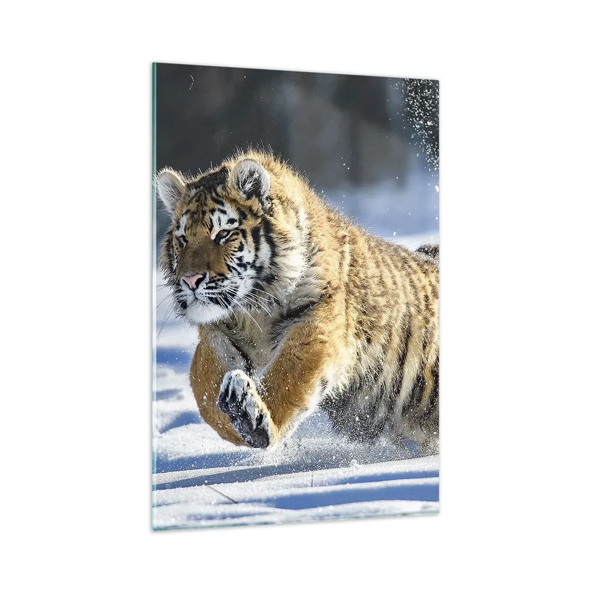 Billede på glas - Den sibiriske taigas gud - 80x120 cm