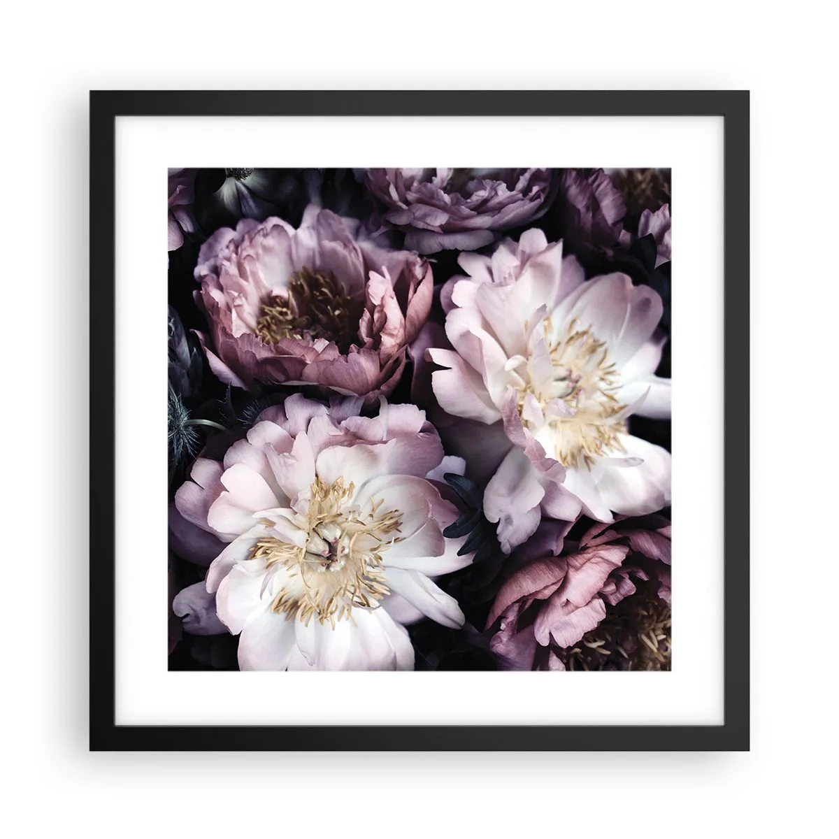 Plakat i sort ramme - Gammeldags buket - 40x40 cm