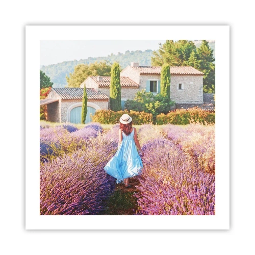 Plakat - Lavendel pige - 50x50 cm