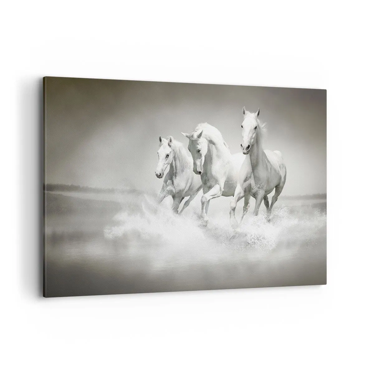 Lærredstryk - Billede på lærred - Hvid galskab - 120x80 cm