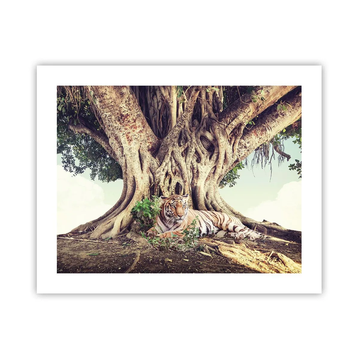 Plakat - Udsigt fra Første Mosebog - 50x40 cm